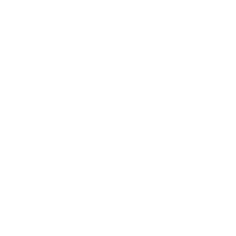 brand logo 7.png
